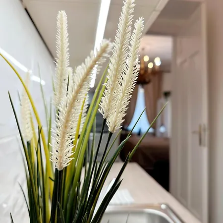 Downtown Vibe Apartment *