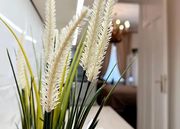 Downtown Vibe Apartament *