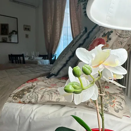 Appartamento Downtown Vibe *